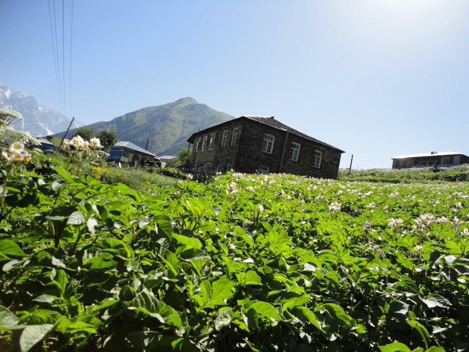 Caucasus Guesthouse Ushguli Dış mekan fotoğraf